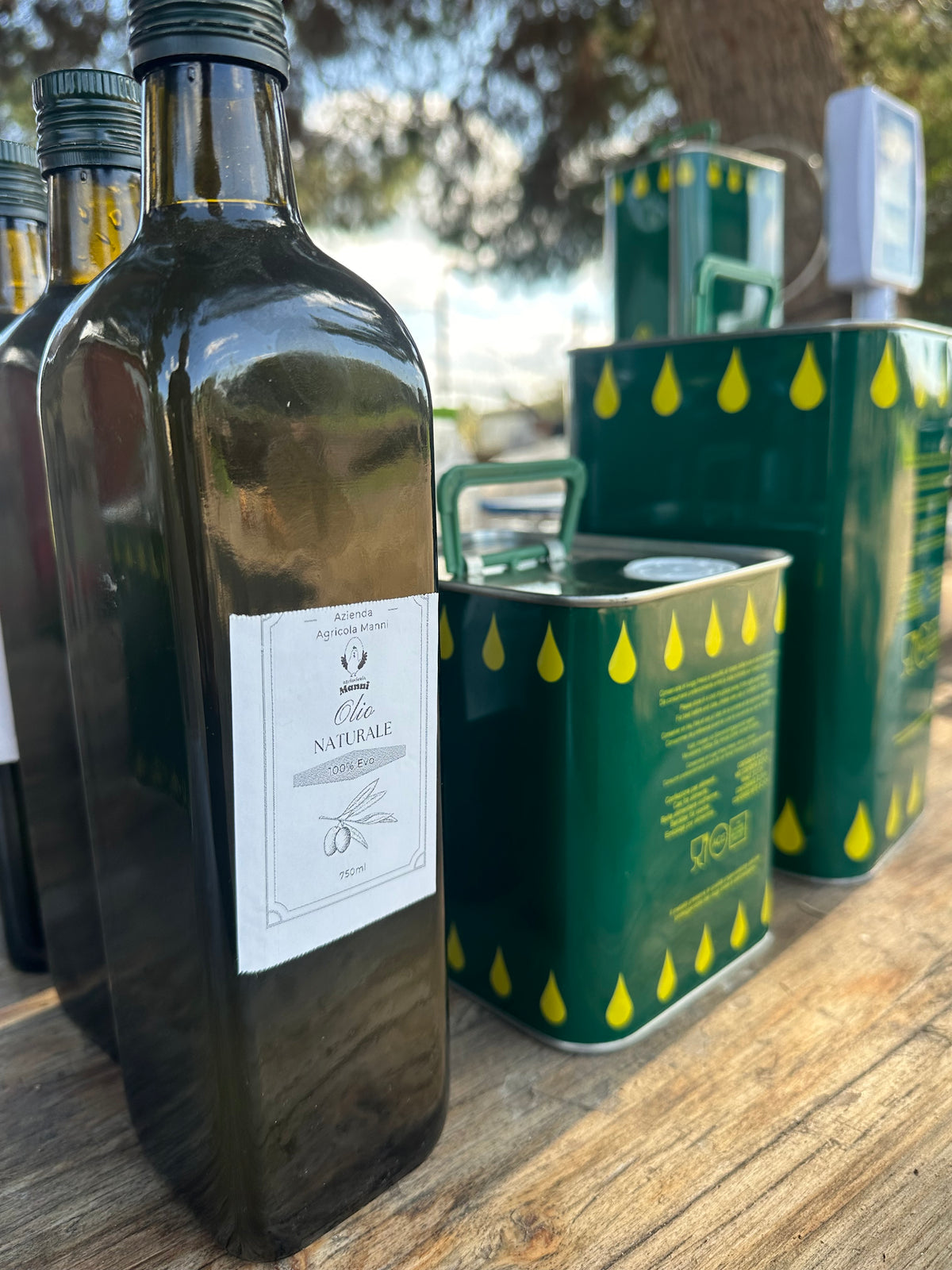 Bottiglia Olio 500ml